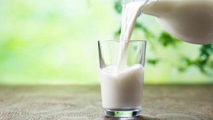 Ulusal Süt Konseyi, Çiğ Süt Tavsiye Fiyatını Belirledi