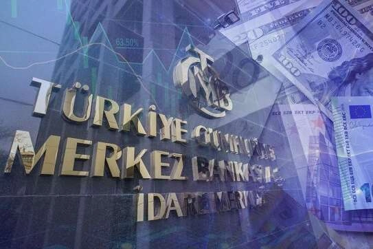 Merkez'in kredi hacmi 229 milyar TL'ye yükseldi