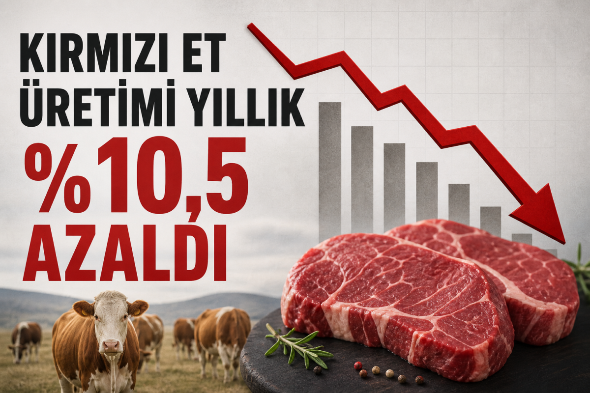 Kırmızı et üretimi yıllık %10,5 azaldı